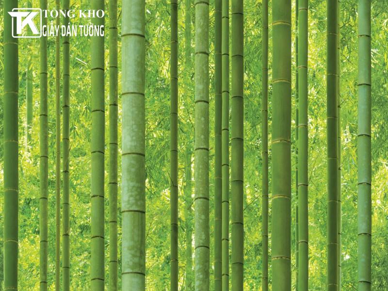 Giấy dán tường Natural 88423-1