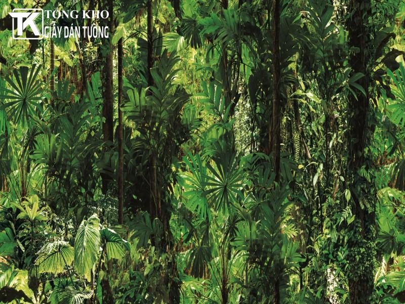 MAP giấy dán tường 86