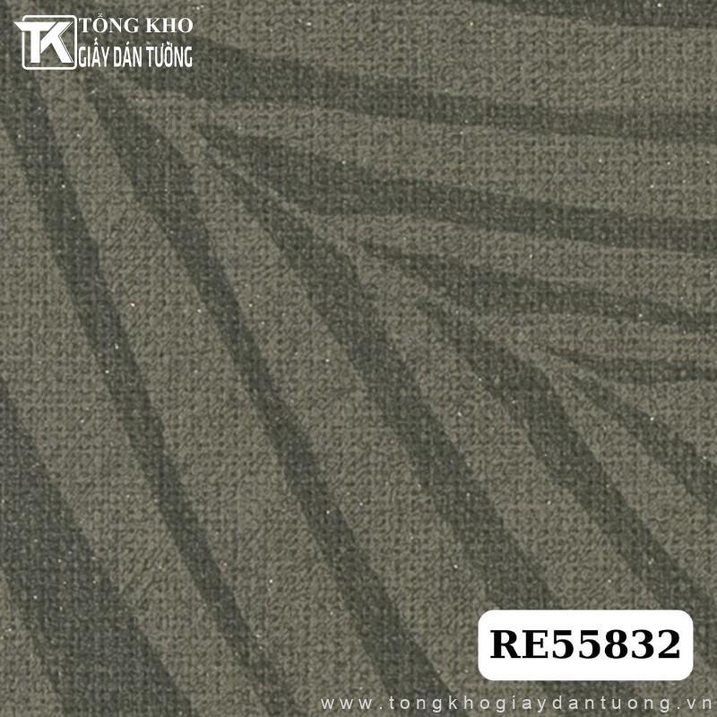 Giấy dán tường Sangetsu RE55832